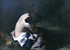 Der verlorene Schuh, 1896